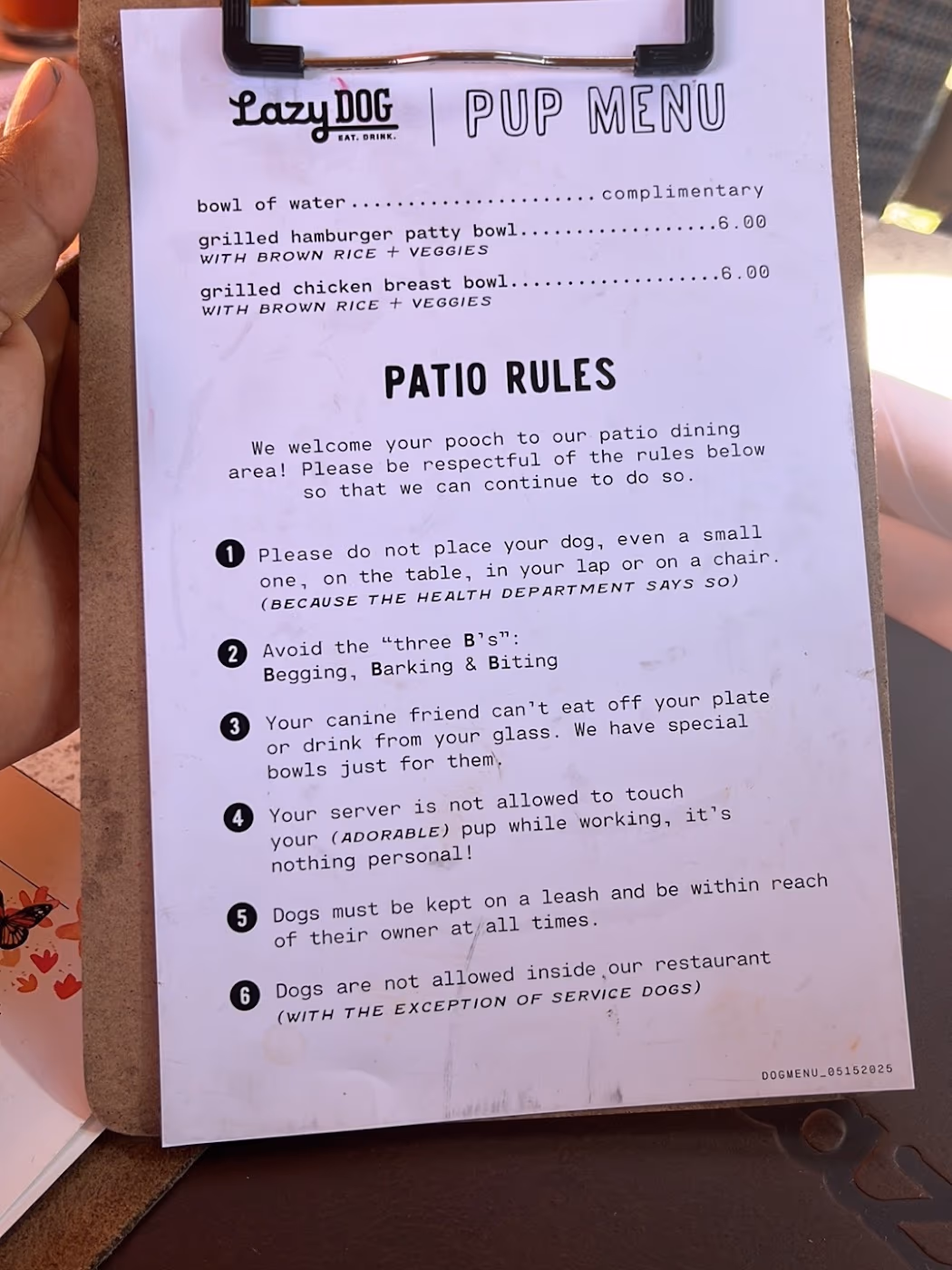 Lazy Dog Restaurant & Bar photo 3