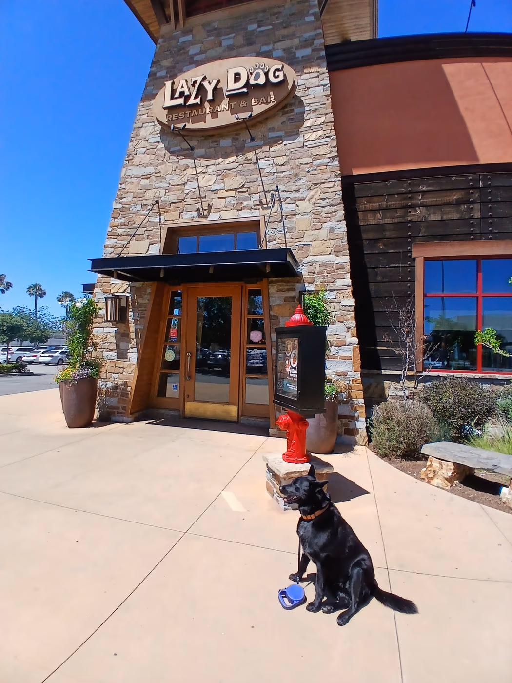Lazy Dog Restaurant & Bar