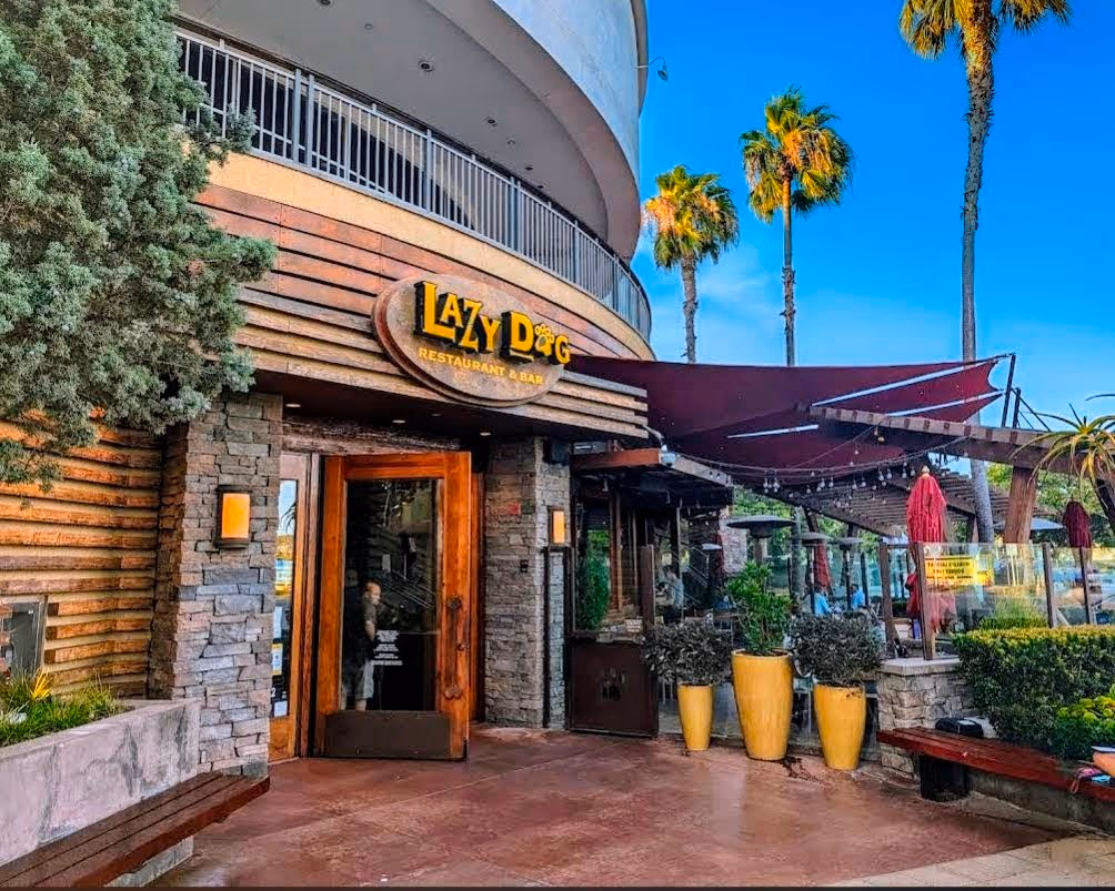 Lazy Dog Restaurant & Bar