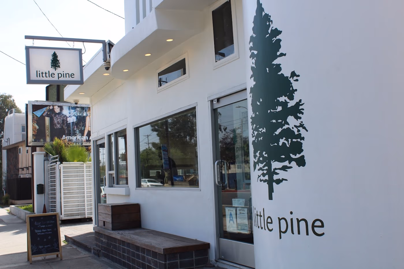 Little Pine photo 3