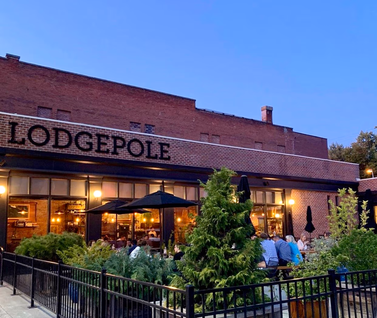 Lodgepole