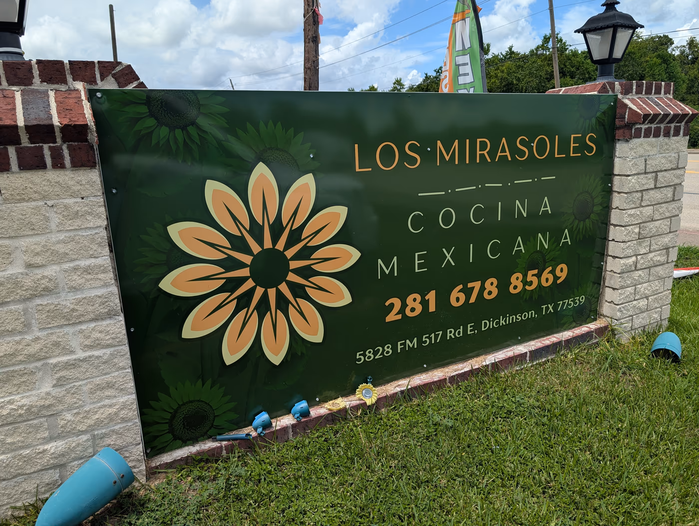 LOS MIRASOLES photo 2