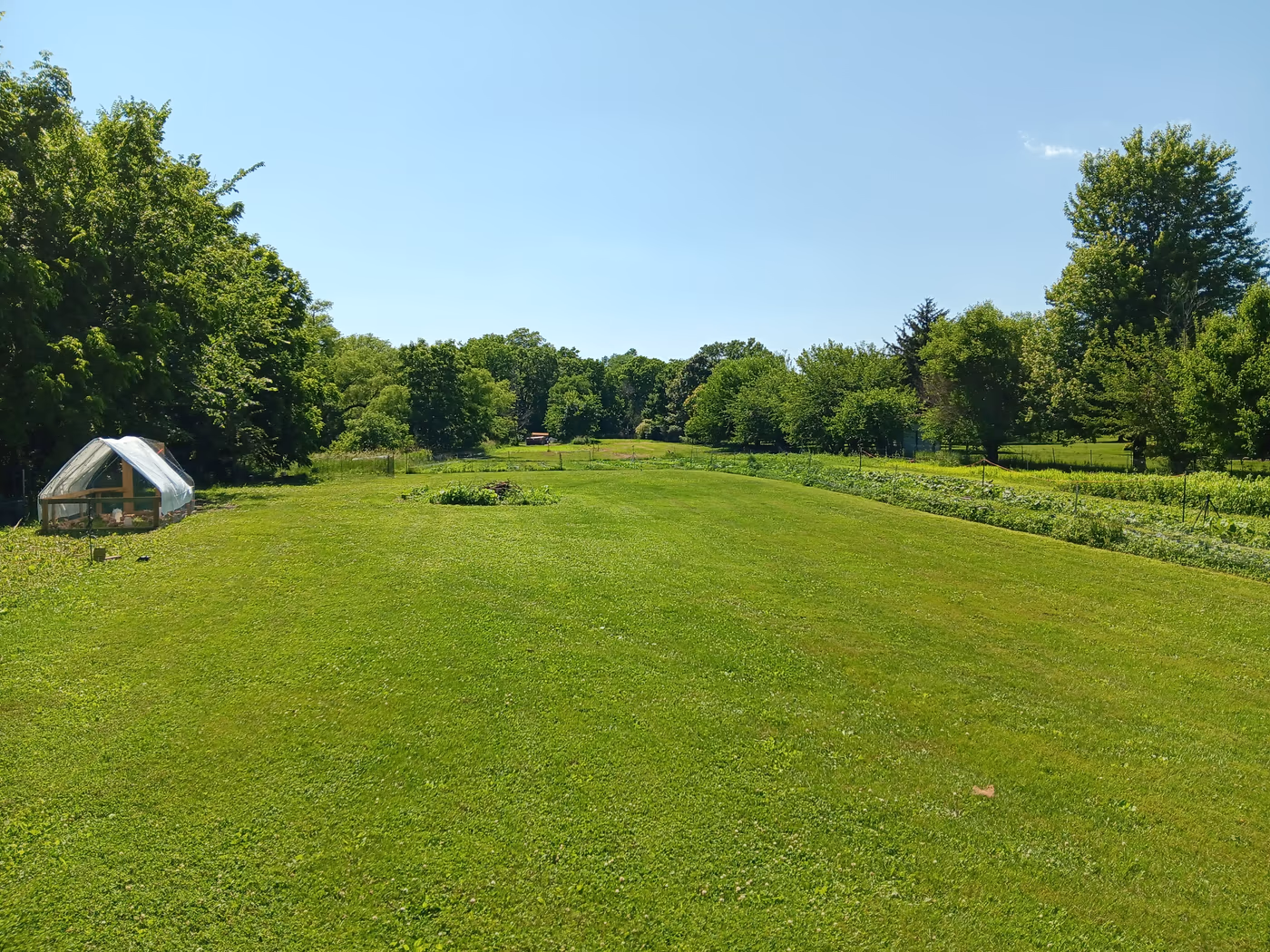 LT Organic Farm Restaurant photo 4