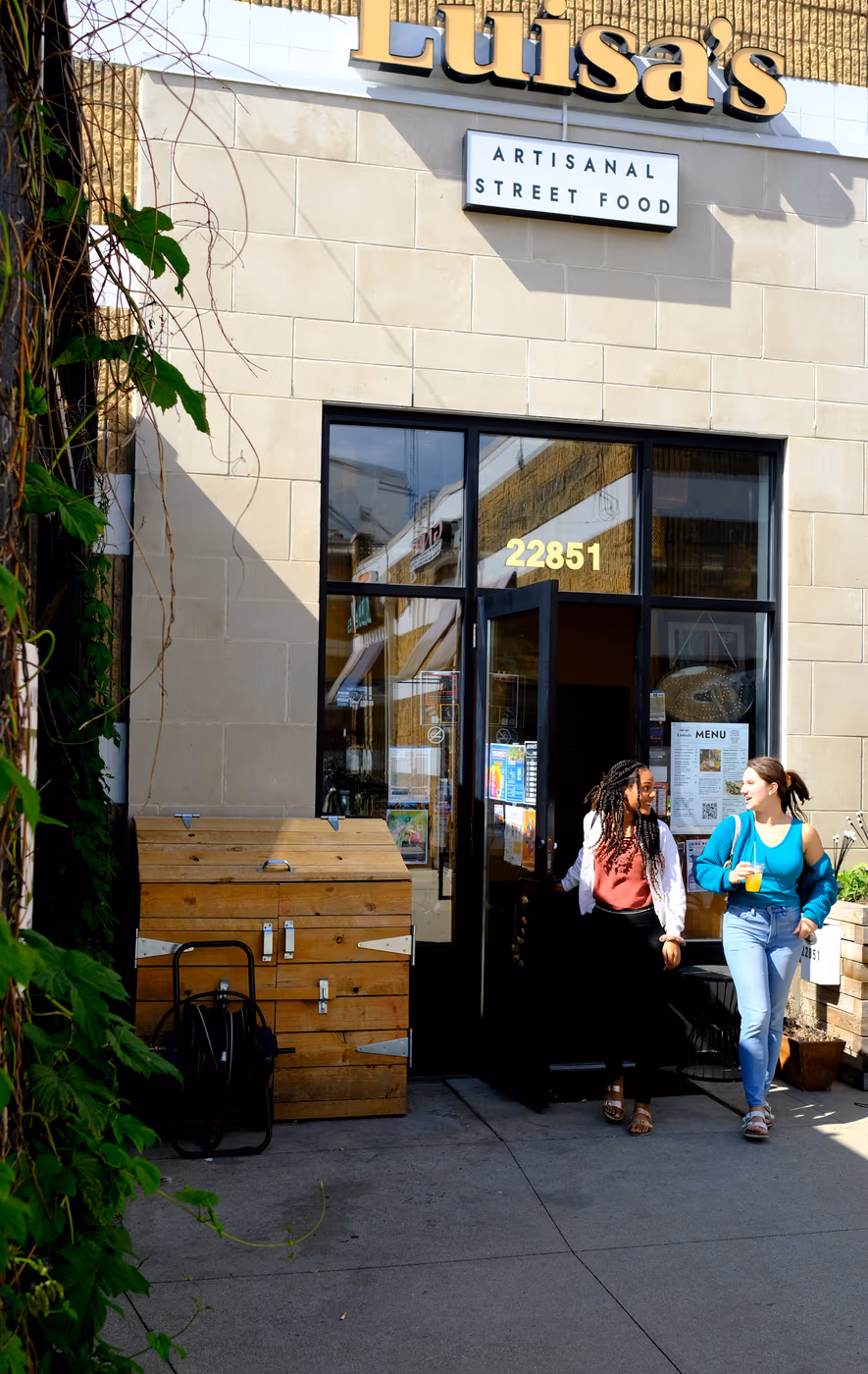 Luisa's Artisanal Street Food