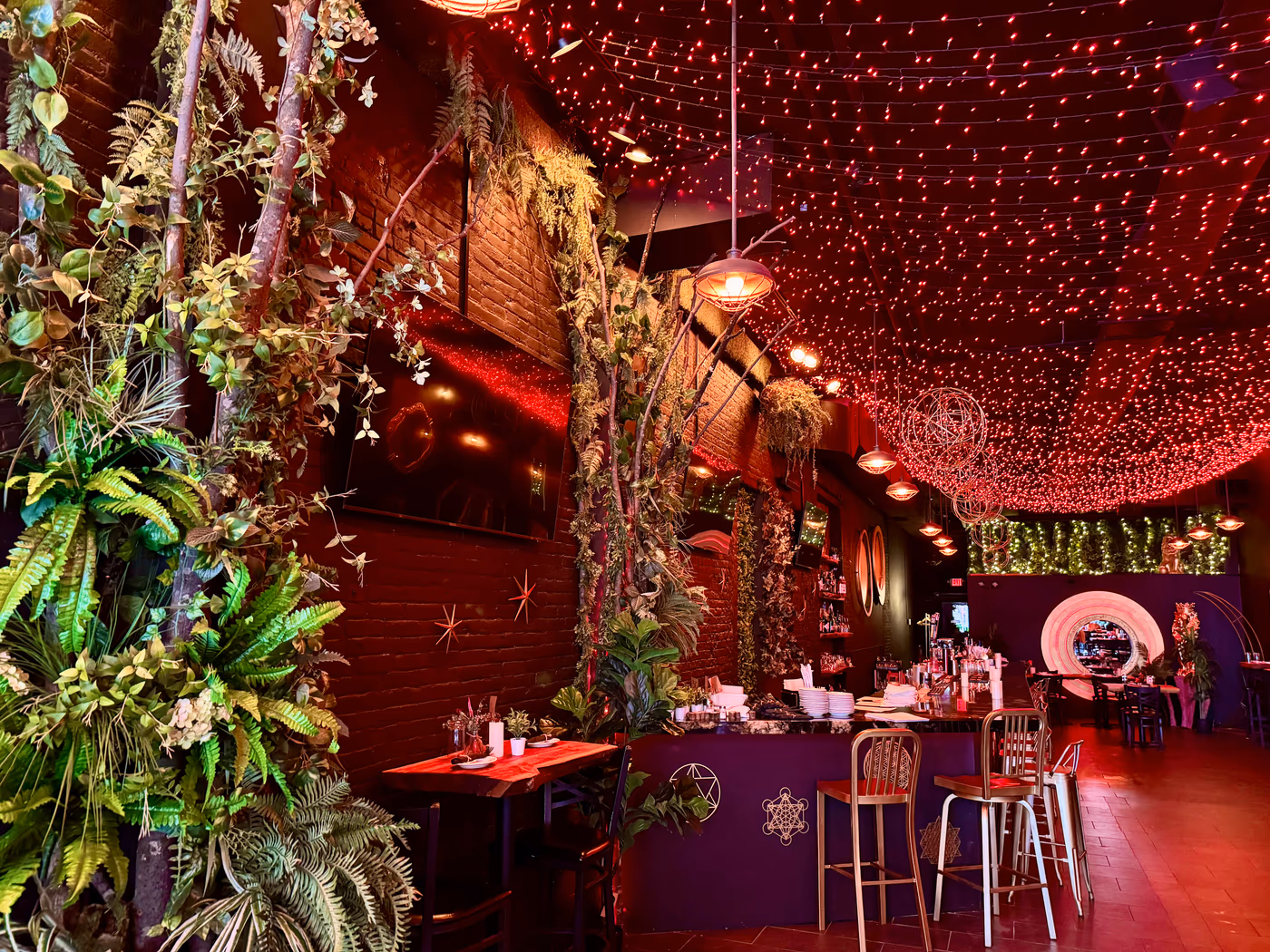 LULO Kitchen & Juice Bar