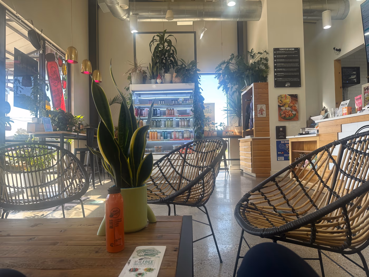 Main Squeeze Juice Co. photo 4