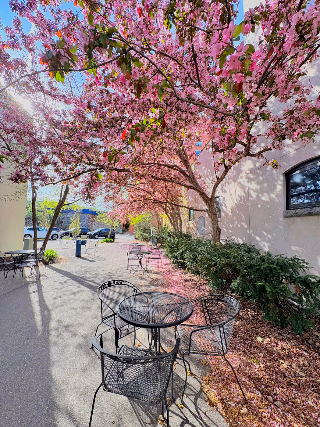 Mandy's Coffee & Cafe photo 3