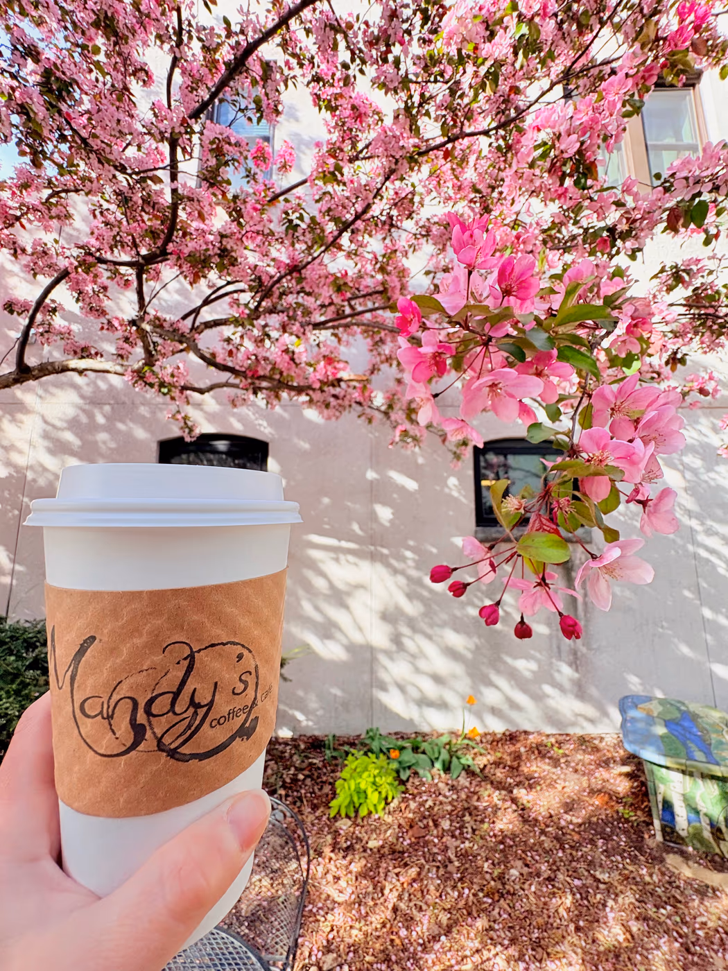 Mandy's Coffee & Cafe photo 4