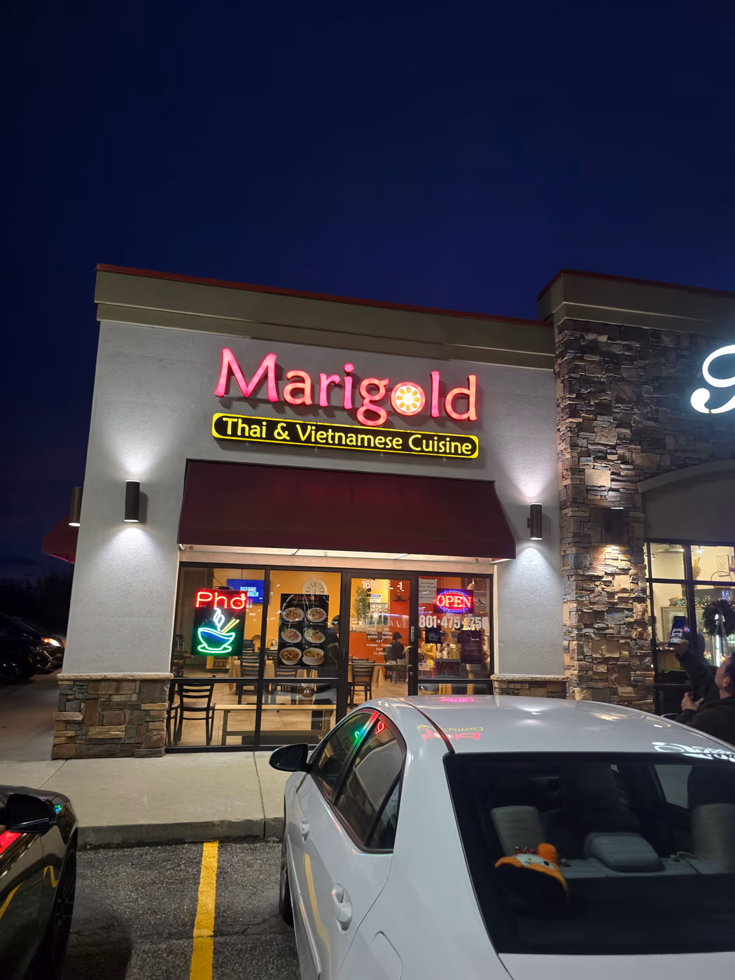 Marigold photo 2