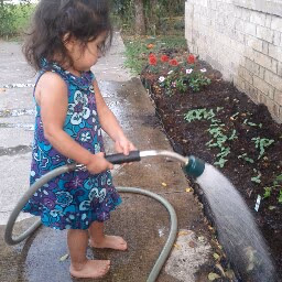 Mas Natural photo 3
