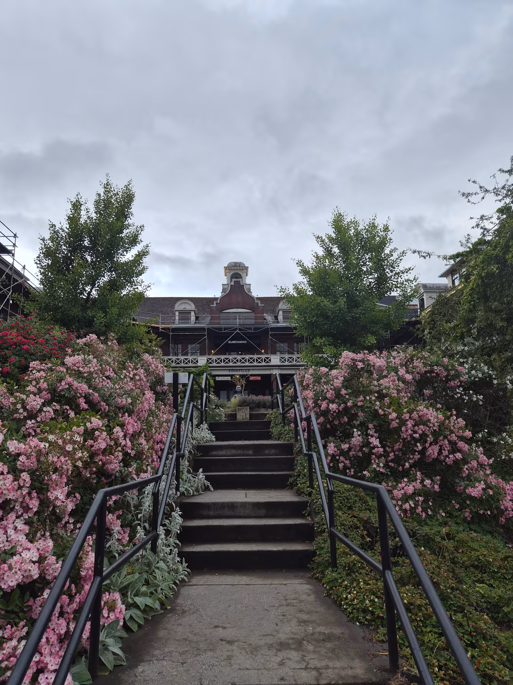 McMenamins Black Rabbit Restaurant photo 2