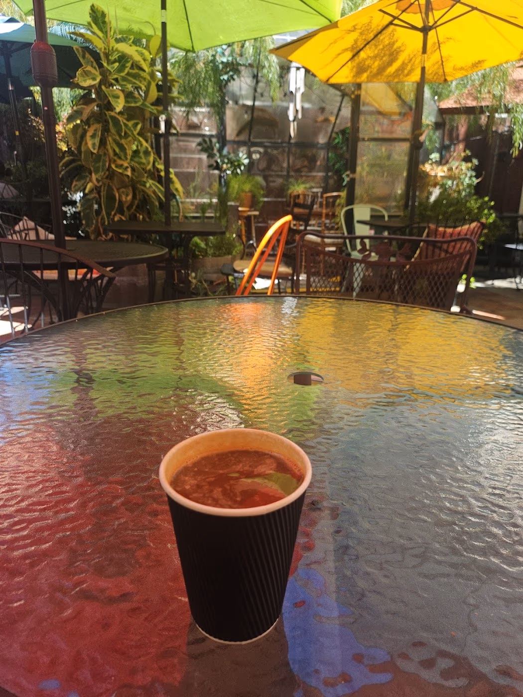 Me and Jungle Cafe photo 2