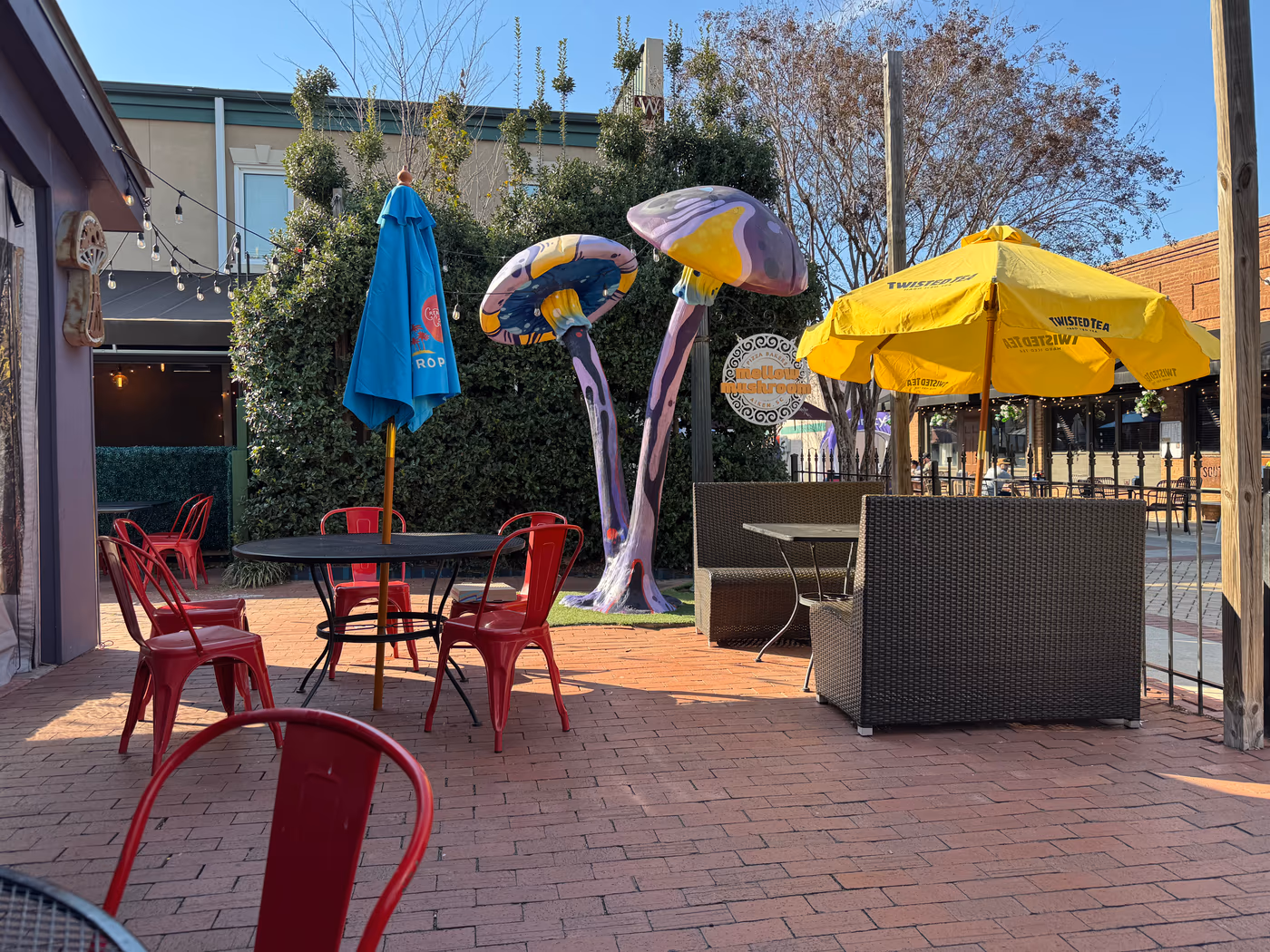 Mellow Mushroom Aiken photo 4