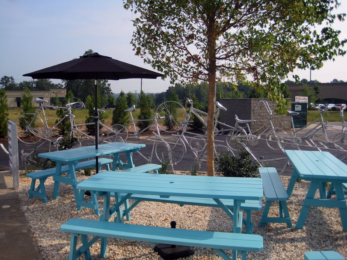 Mellow Mushroom Lexington photo 3