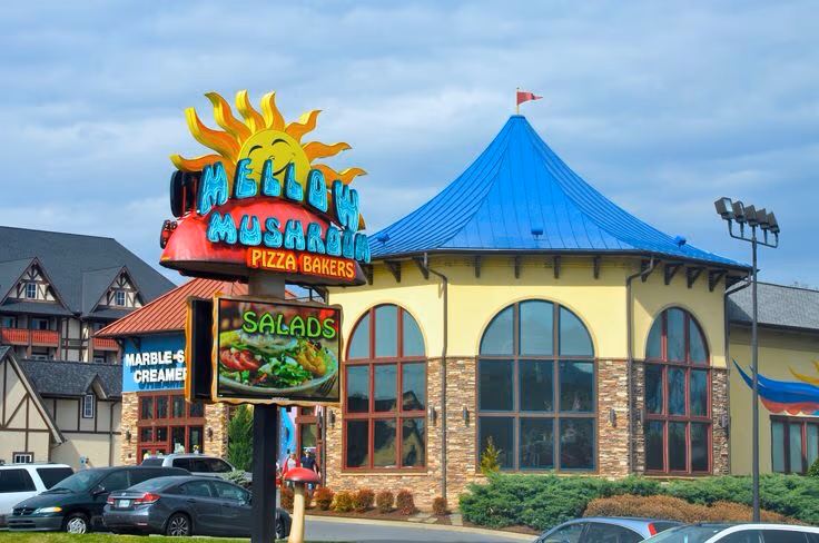 Mellow Mushroom Pigeon Forge