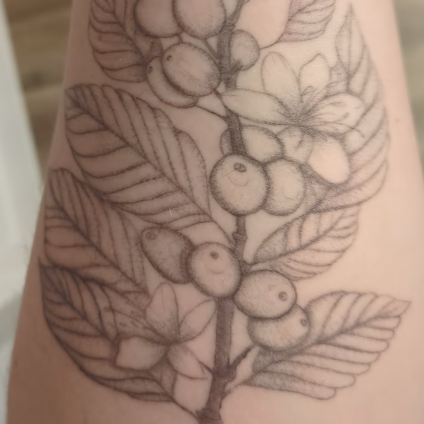 Mi