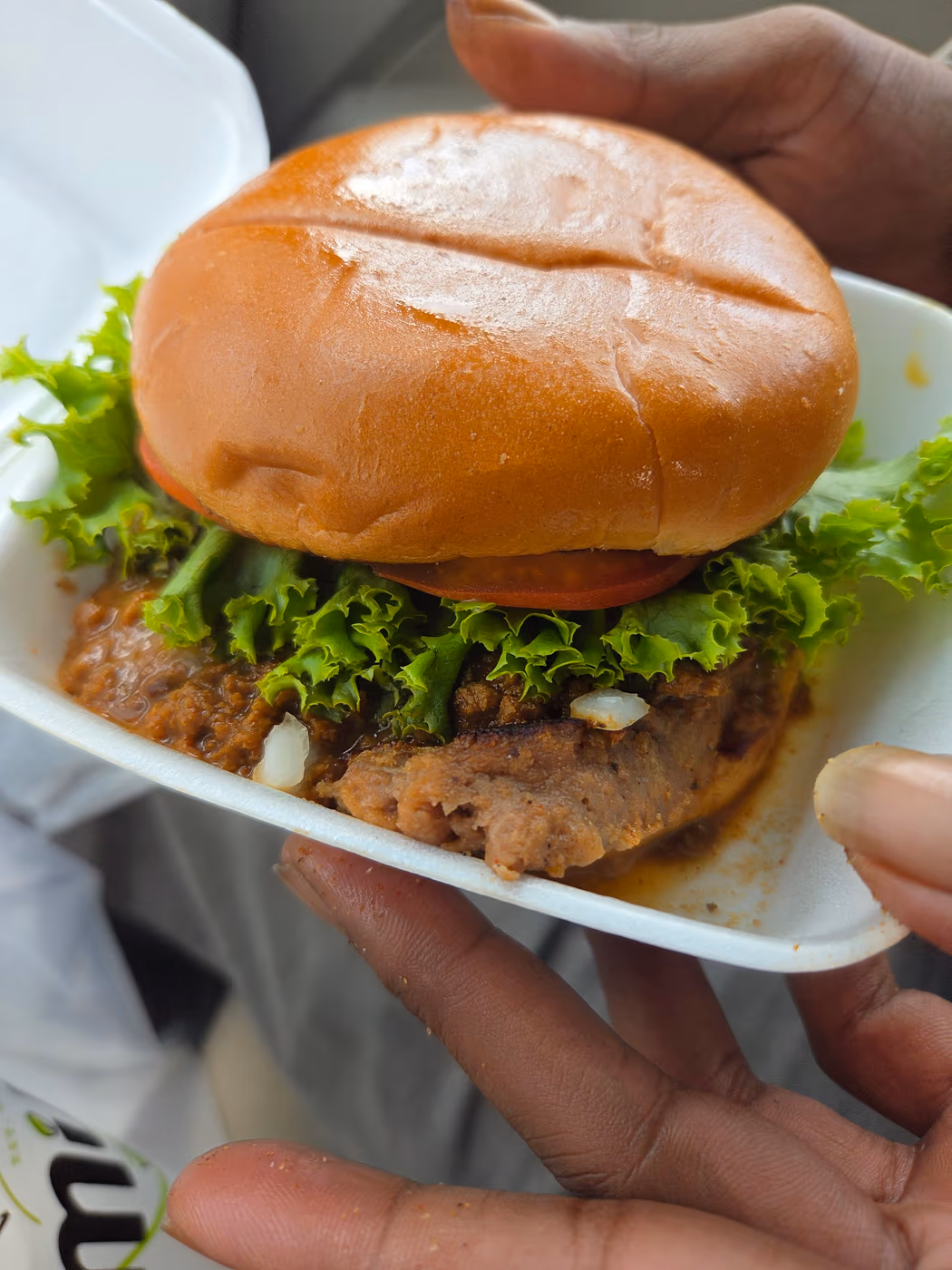 Mike's Vegan Grill photo 2
