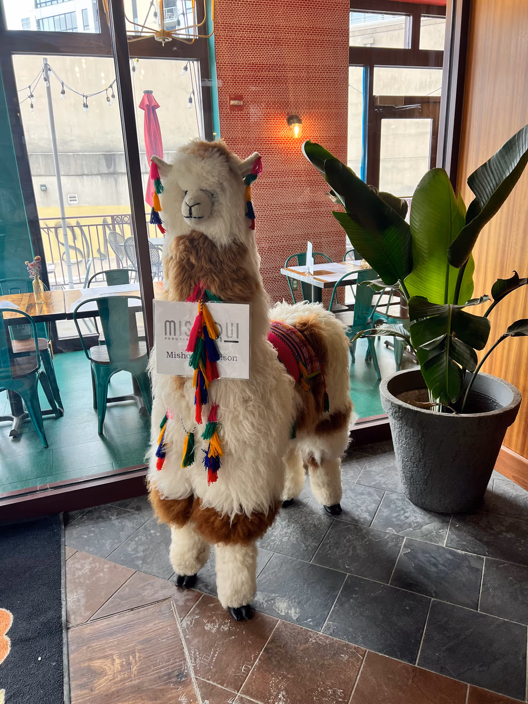 Mishqui Peruvian Bistro (Downtown) photo 3