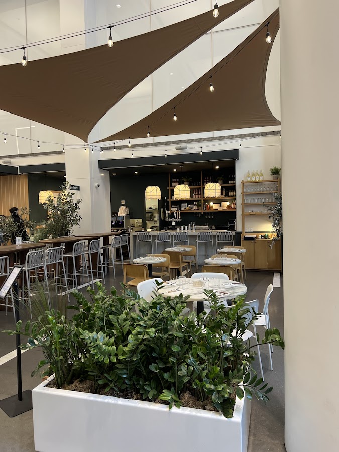 Modern dining area with plants