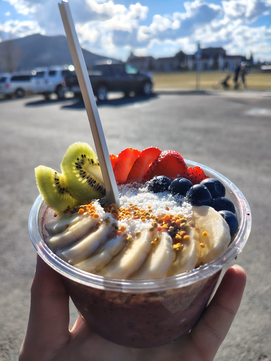Mountain Berry Bowls Helena photo 3