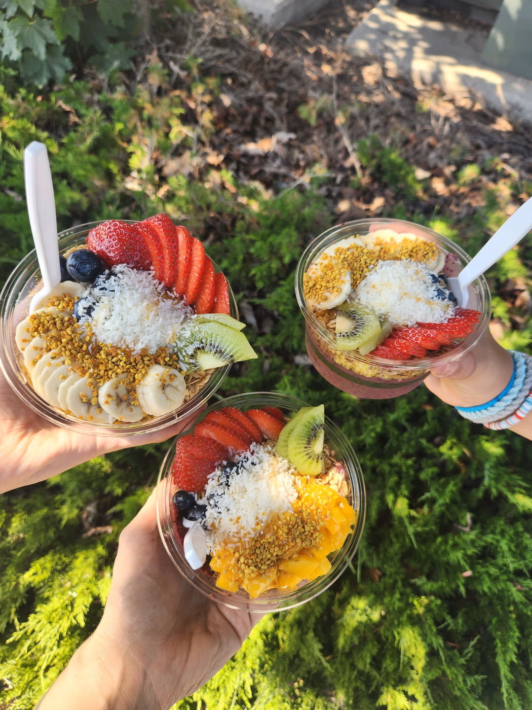mountain berry bowls kalispell