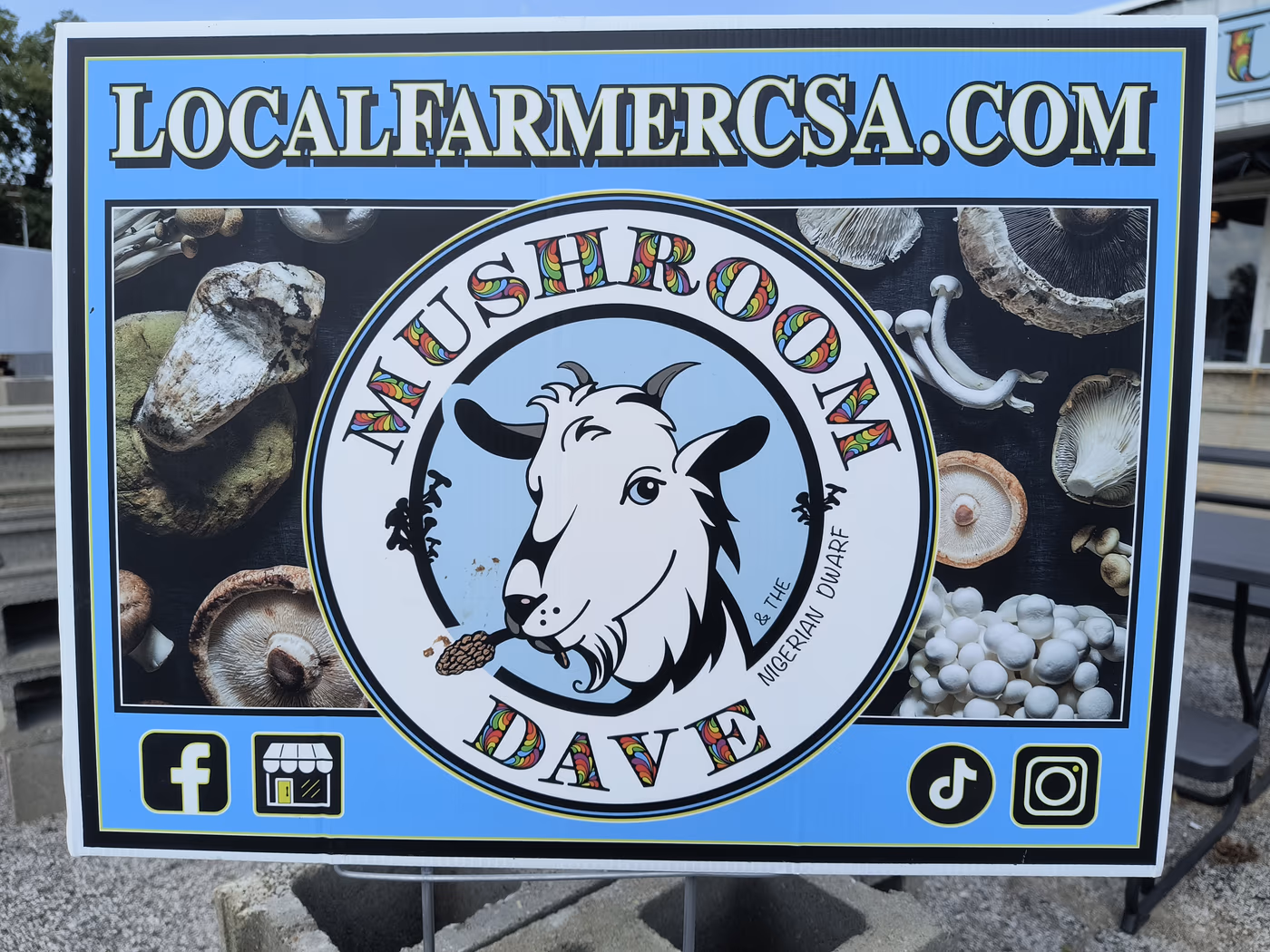 Mushroom Dave