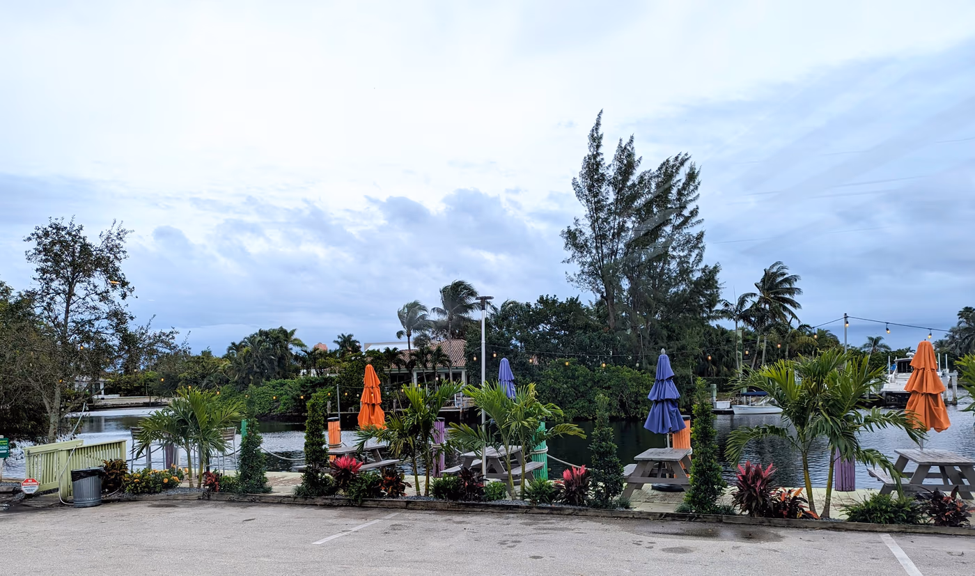 Myapapaya photo 3