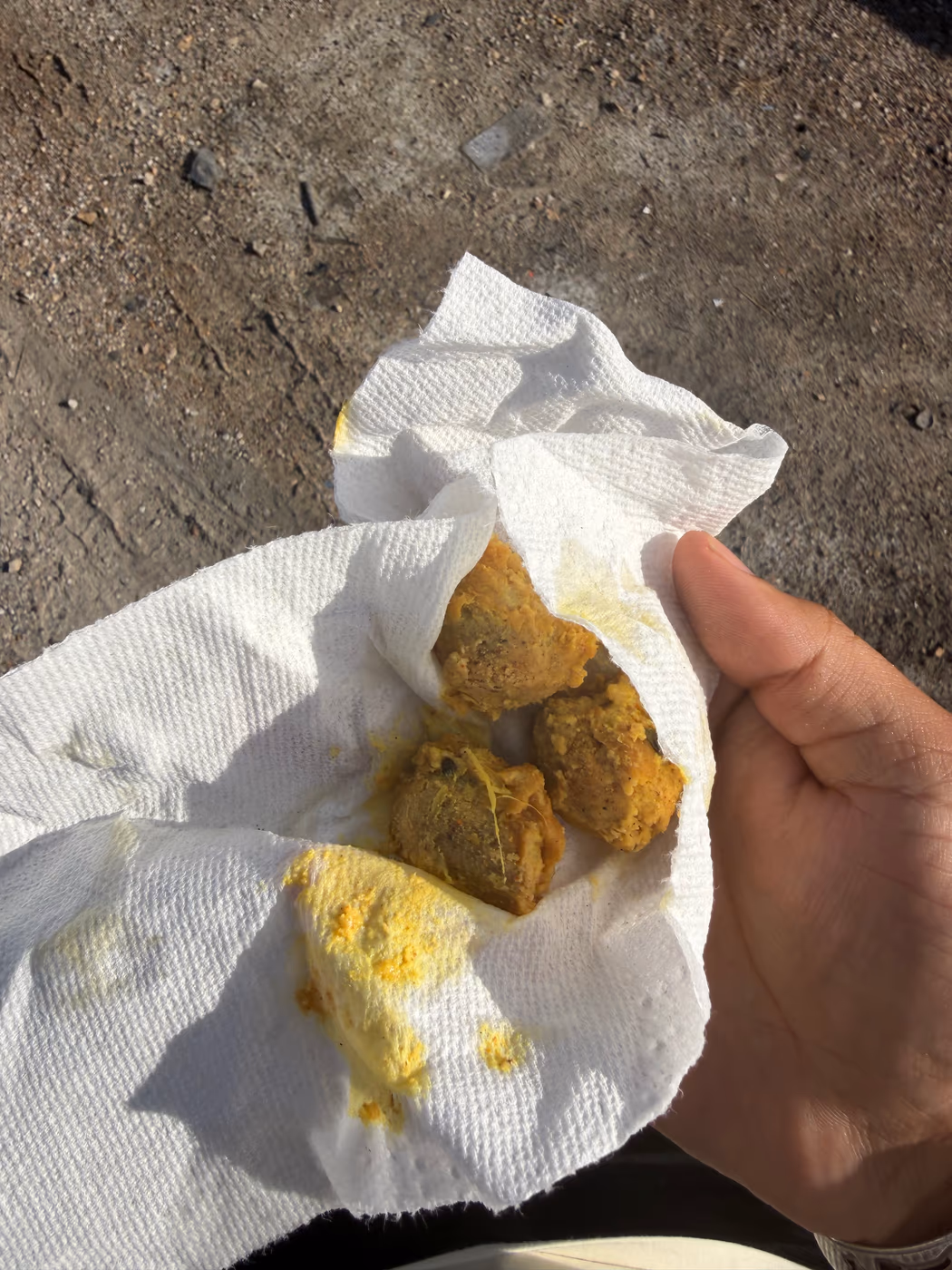 Naan and Curry Indian food Truck