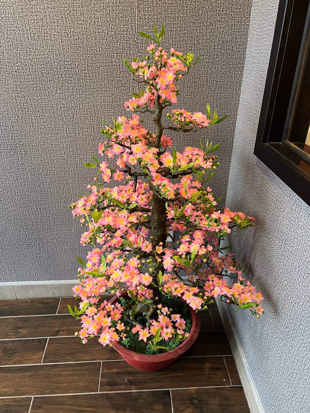 NAKA Ramen