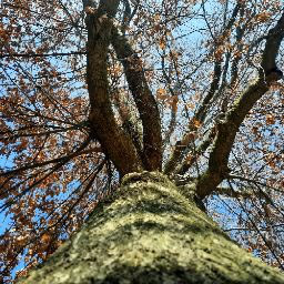 Nawa photo 4