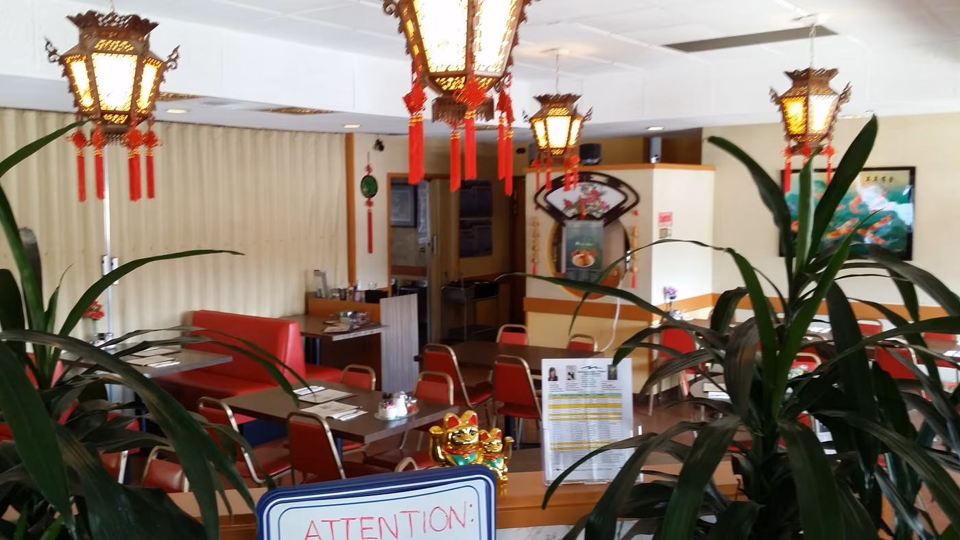 New China Restaurant | Chinese photo 4