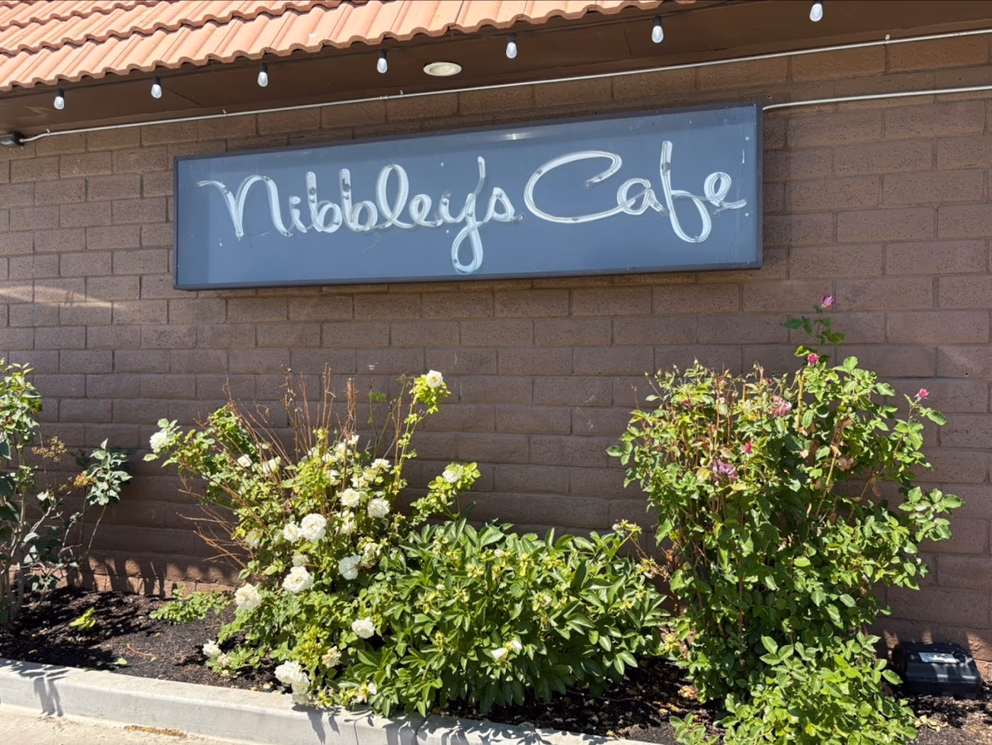 Nibbley's Cafe photo 2