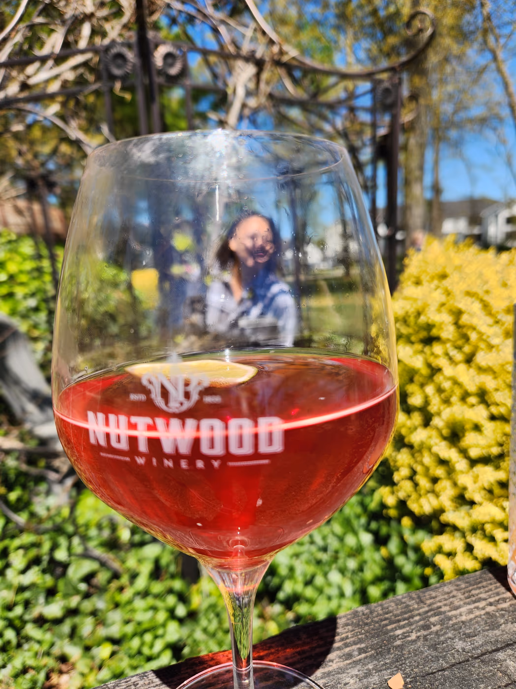 Nutwood Winery Tasting Room & Vineyard Cafe photo 3