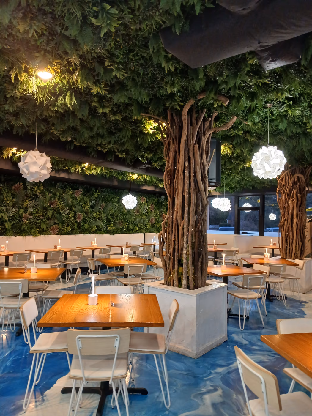 Oasis 843 Elite Restaurant Bar and Lounge