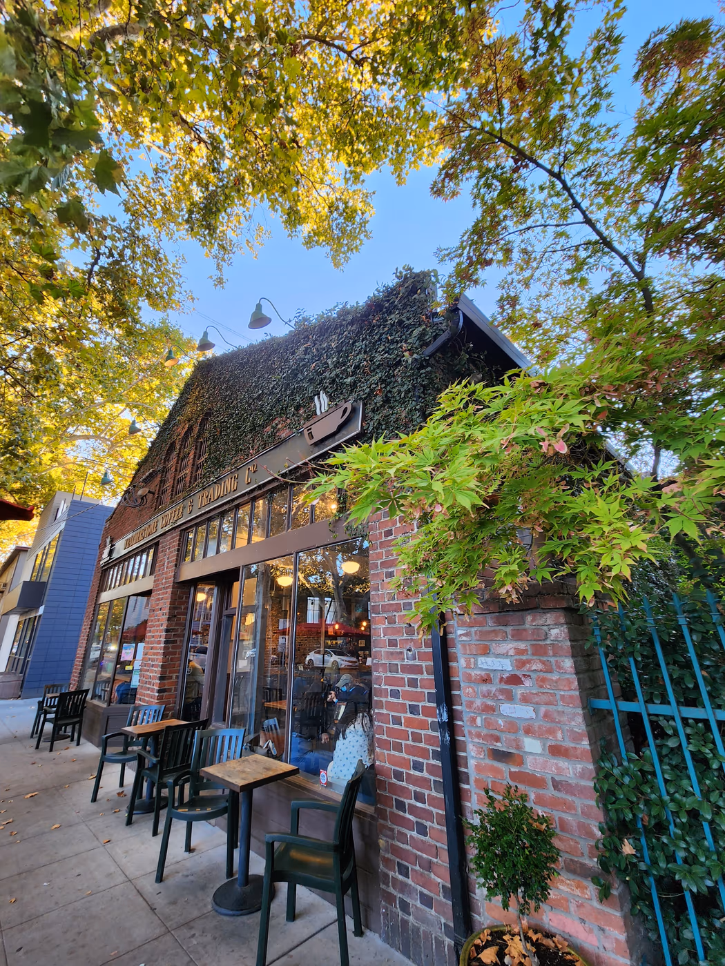 Old Soul at The Weatherstone