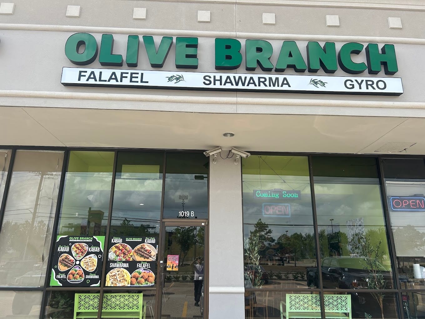 Olive Branch