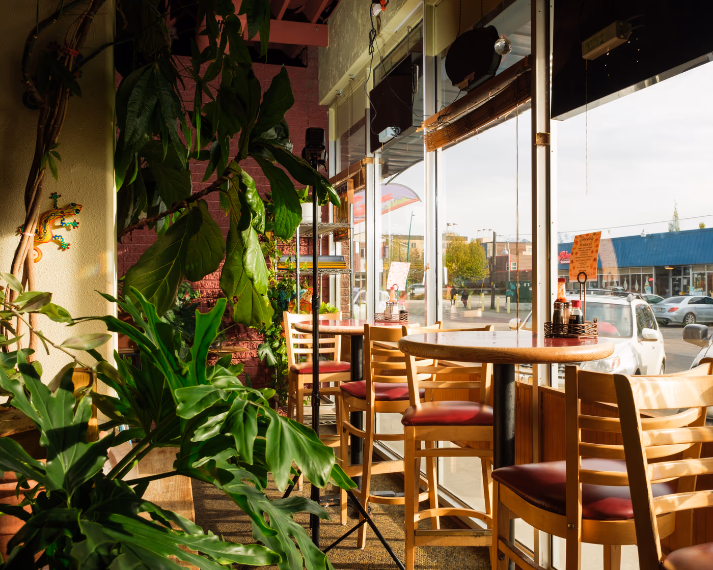 Organic Oasis | Restaurant & Juice Bar