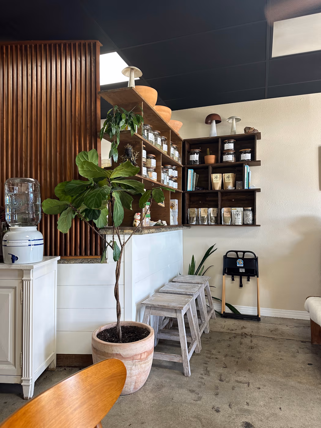 Organic Tree Juice Bar photo 4