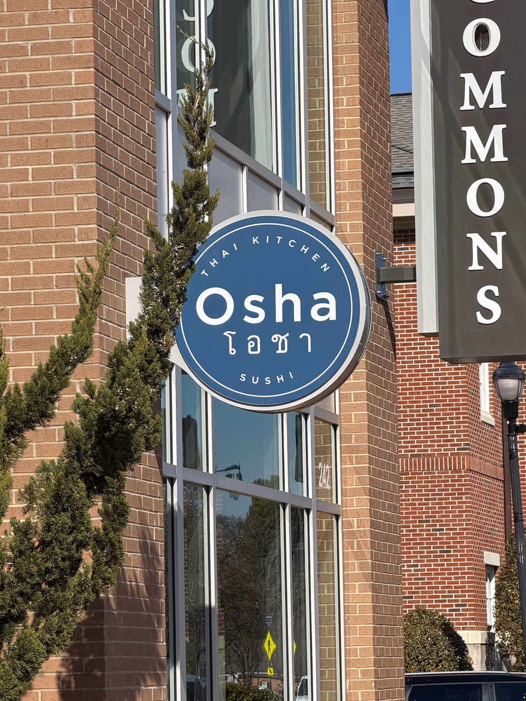 Osha Thai Kitchen and Sushi