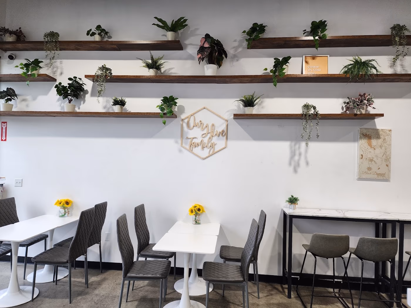 Our Hive Cafe & Juicery photo 3