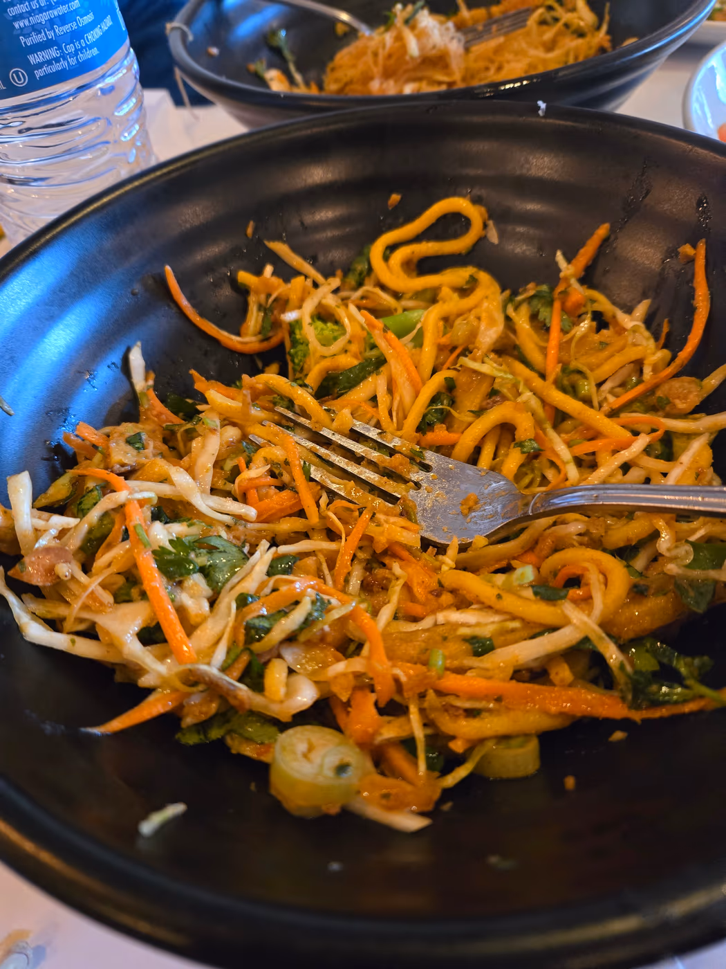 Pa Lian Burmese Restaurant ( BYOB) photo 3