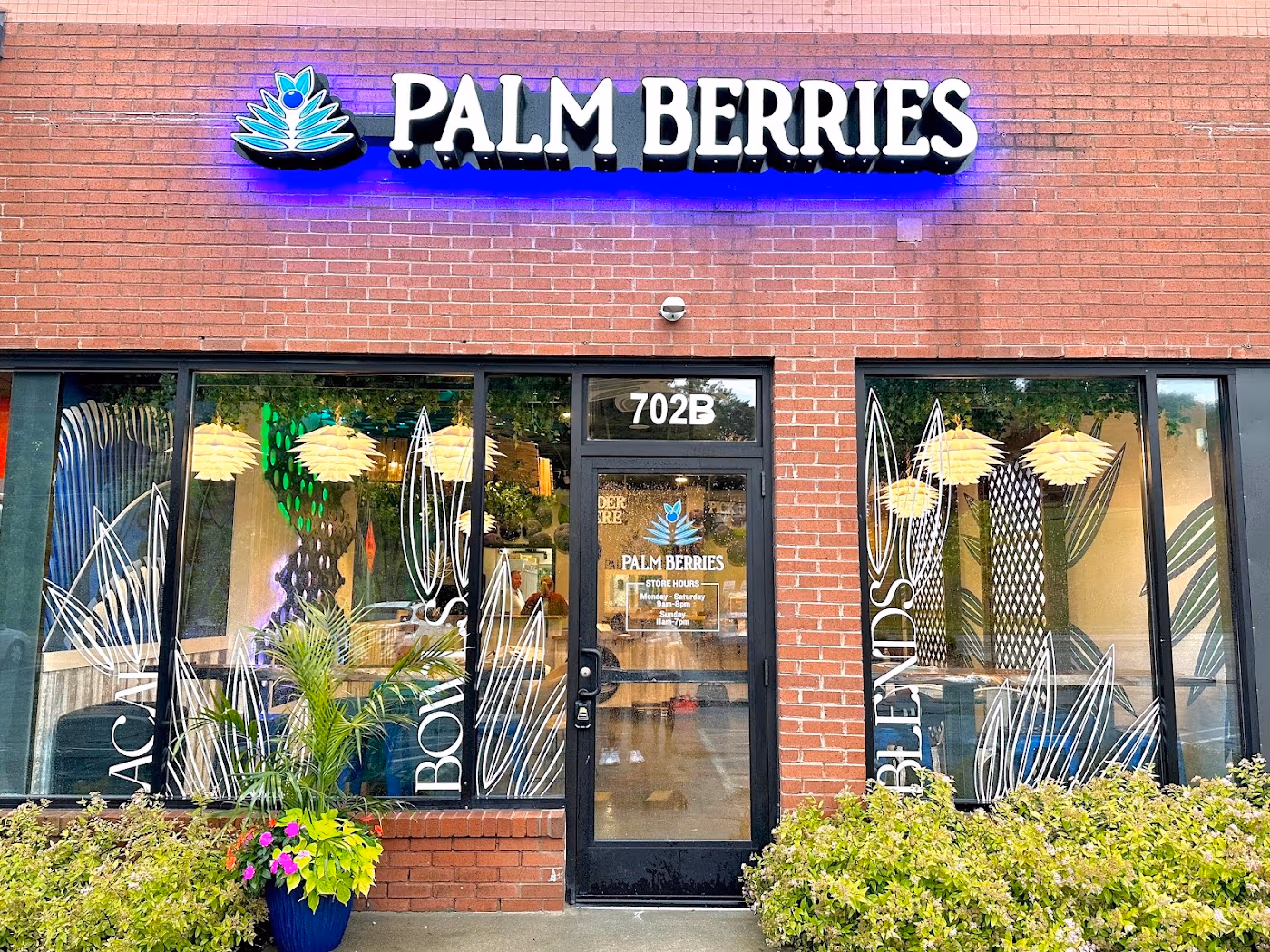 Palm Berries