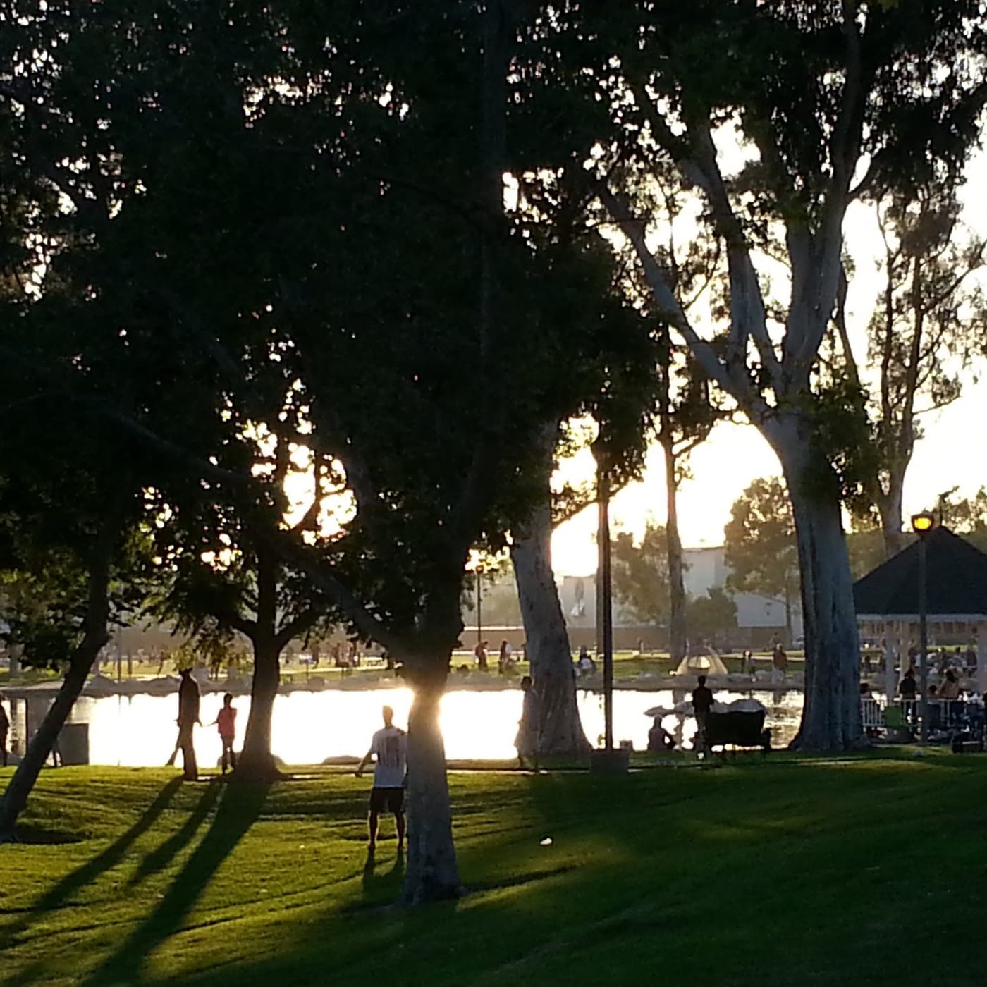 Palmetto Superfoods photo 2