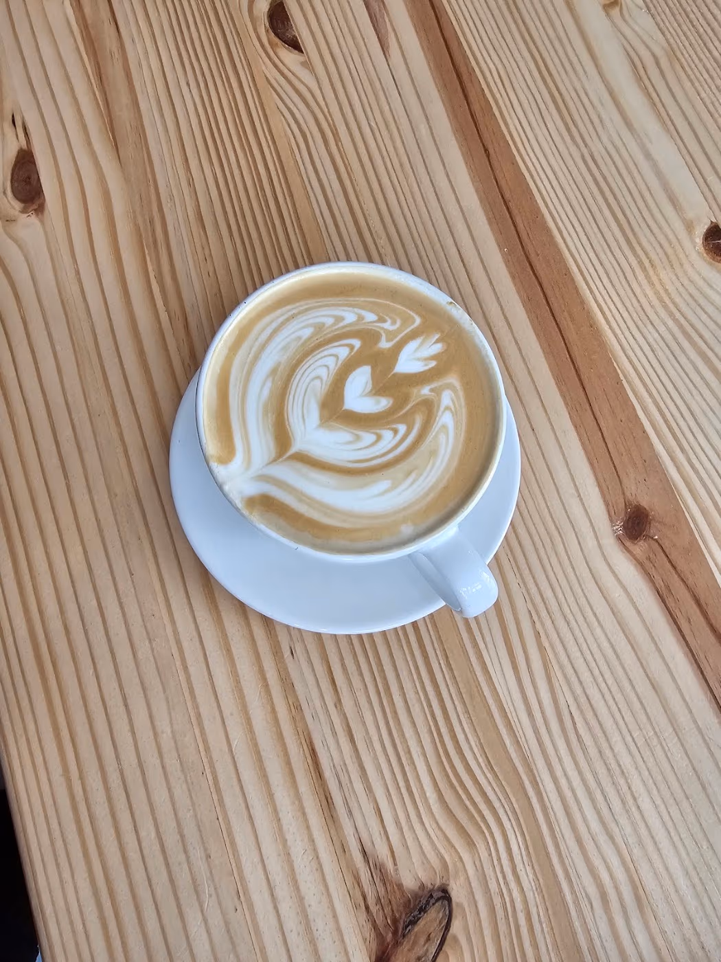 Paper City Coffee photo 2