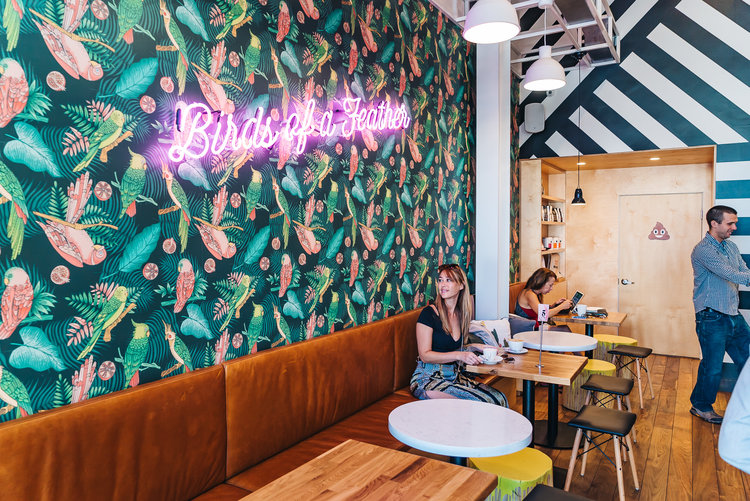 Parakeet Cafe