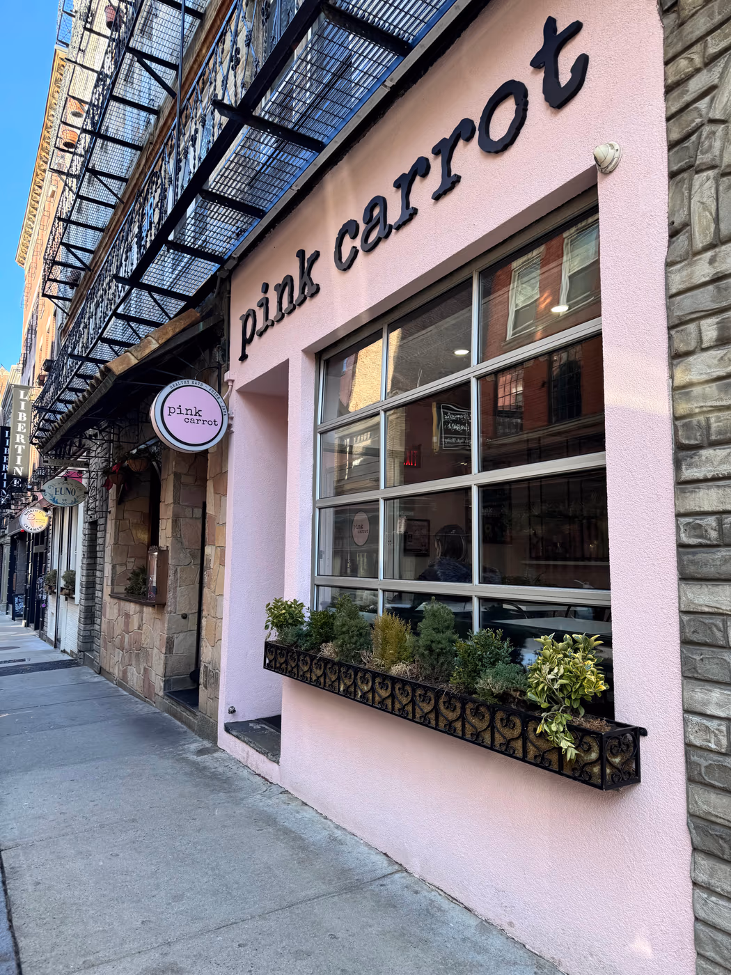 Pink Carrot