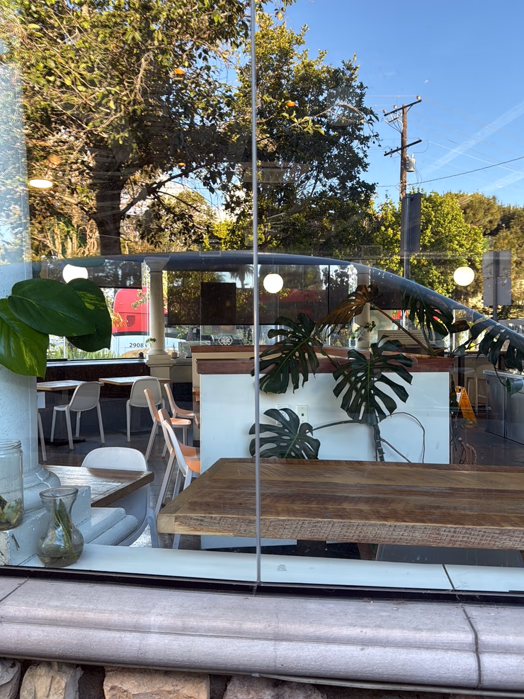 Plant Power Fast Food