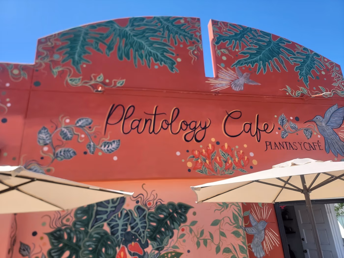 Plantology Cafe photo 2