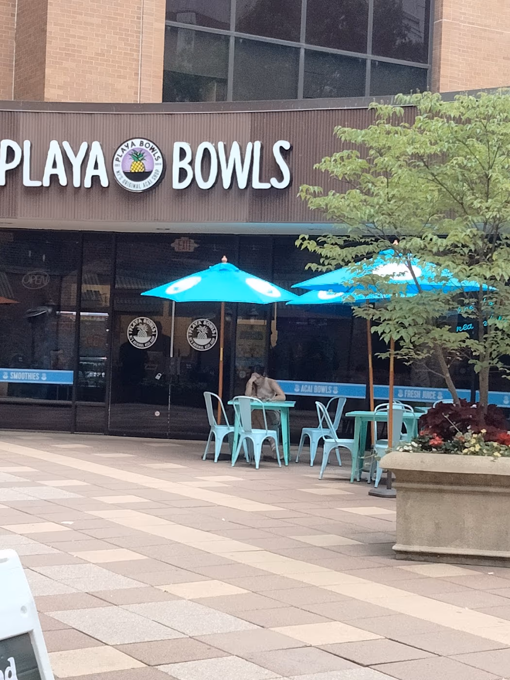 Playa Bowls photo 3
