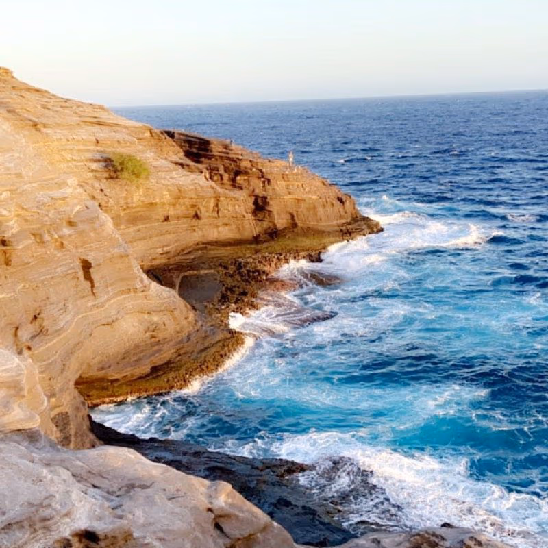 Playa Bowls photo 2